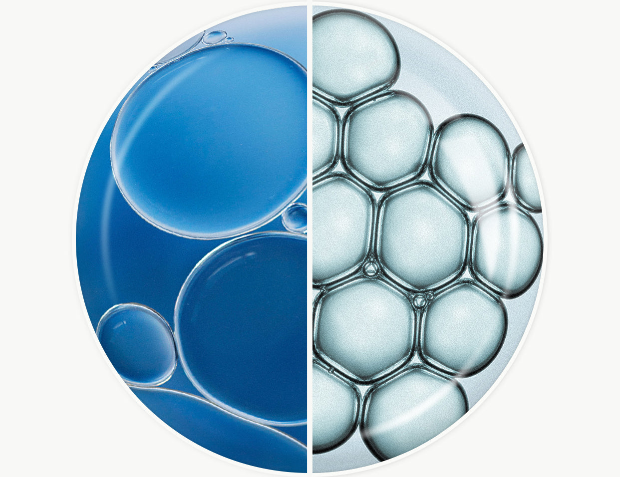 Hyaluronic Acid Vs. Polyglutamic Acid