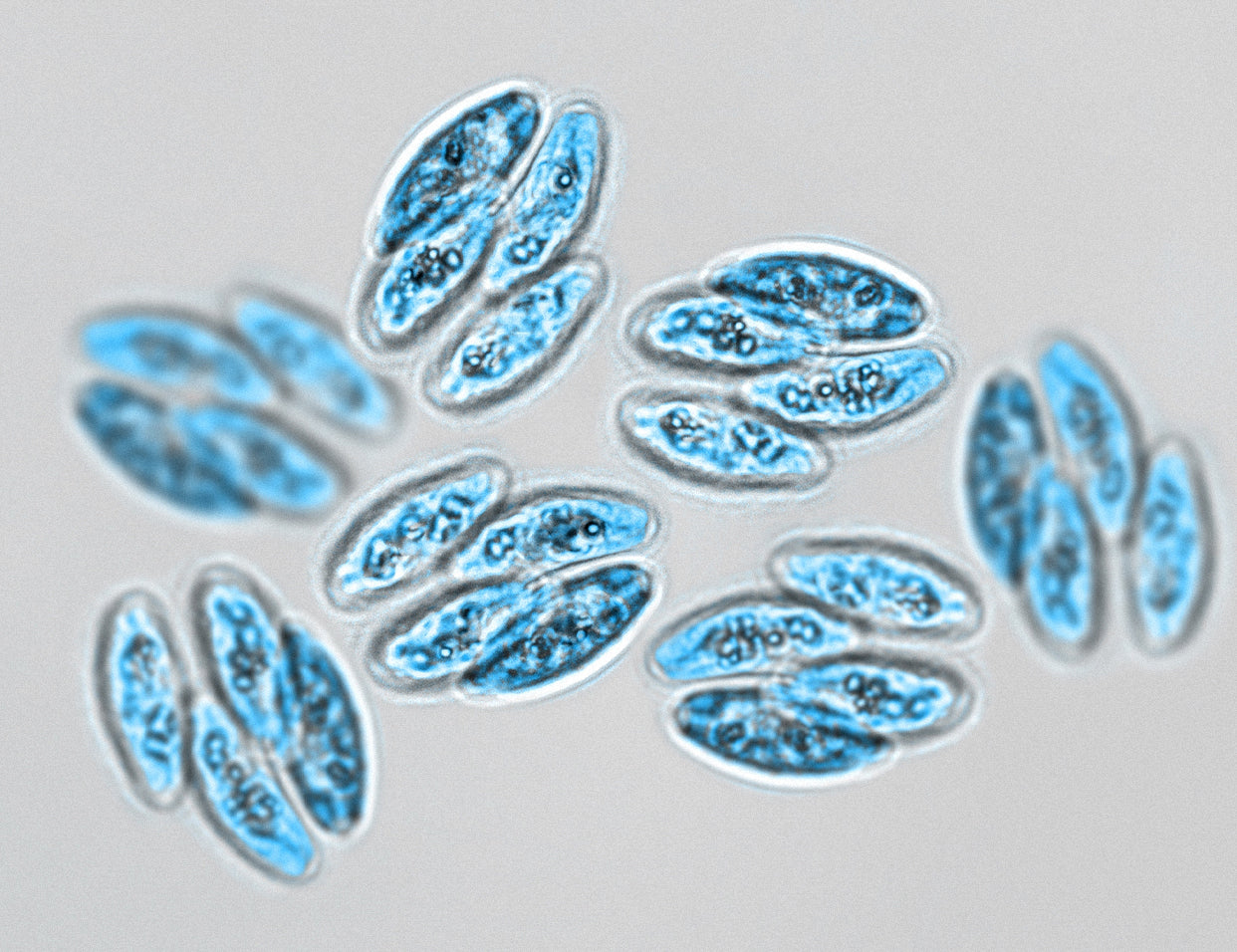 Enzymes in Skincare