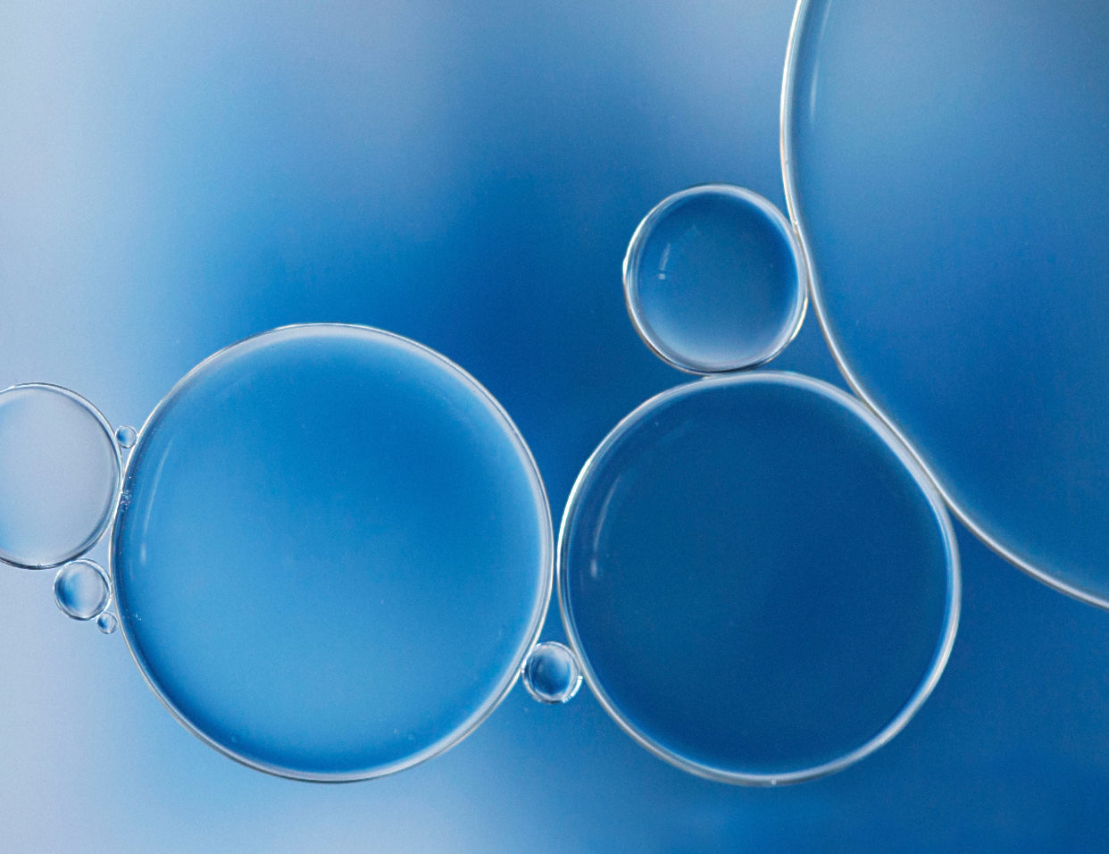 polyglutamic acid in skincare