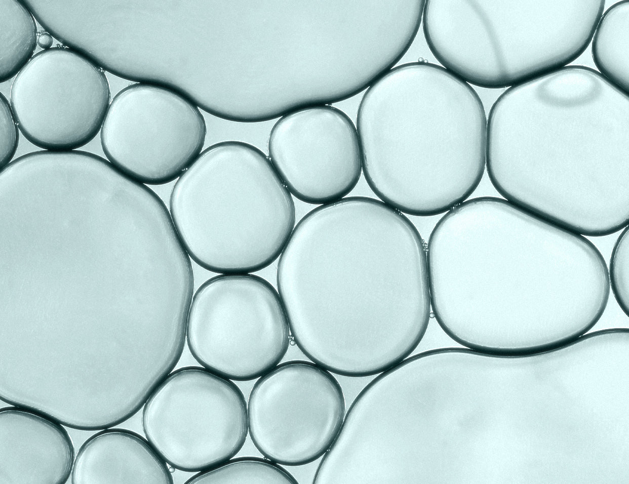 smart lipophilic skin hydrator