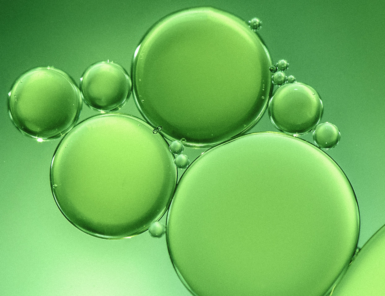 Vitamin F In Skincare - Benefits & Uses – Prequel