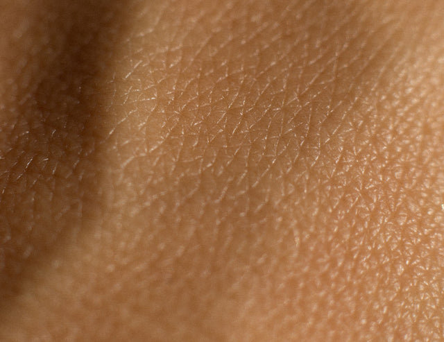 Combination Vs Normal Skin Combination Skin Type - Everything You Need To Know – Prequel