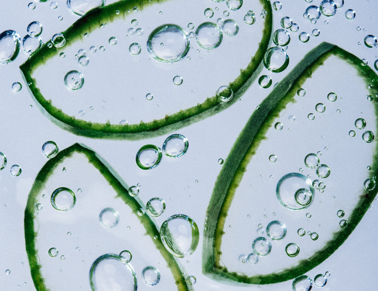 glycerin and aloe in skincare