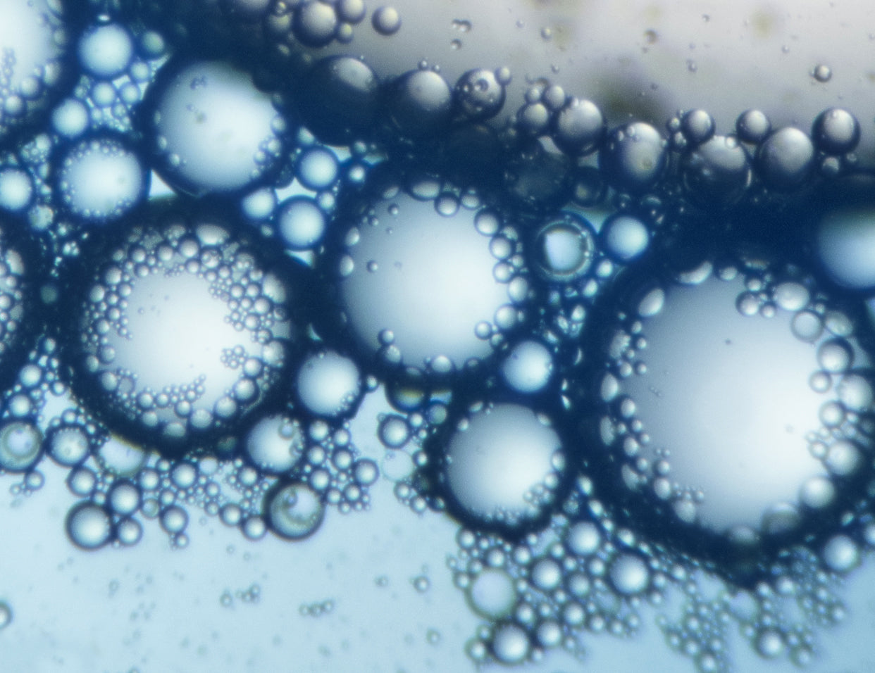 osmolytes blend in skincare