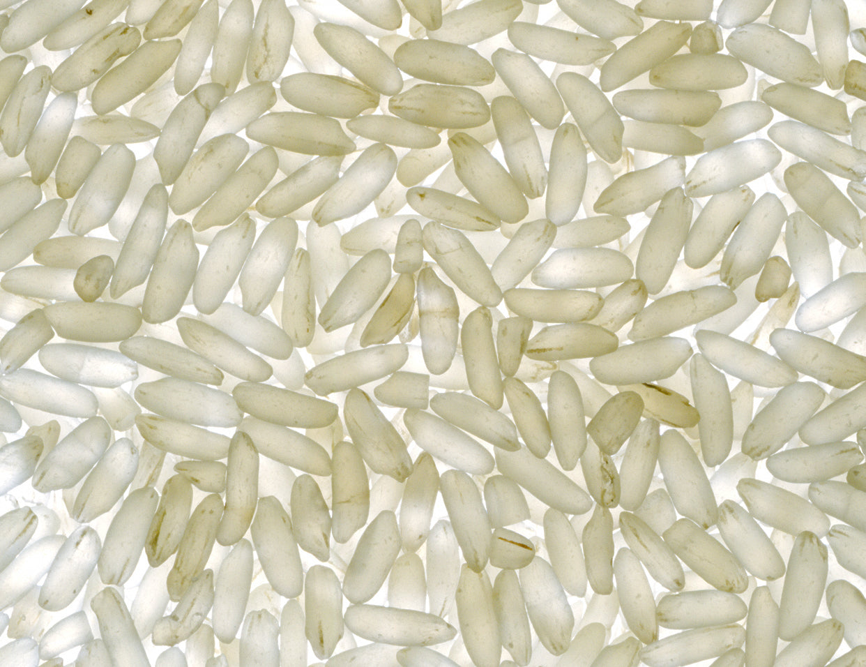 rice phytomolecules for skin