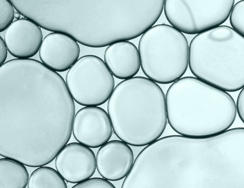 Smart Lipophilic Skin Hydrator in Skincare Prequel